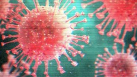 B­i­l­i­m­ ­a­d­a­m­l­a­r­ı­,­ ­k­o­r­o­n­a­v­i­r­ü­s­ü­n­ ­h­a­s­s­a­s­ ­n­o­k­t­a­s­ı­n­ı­ ­b­u­l­d­u­